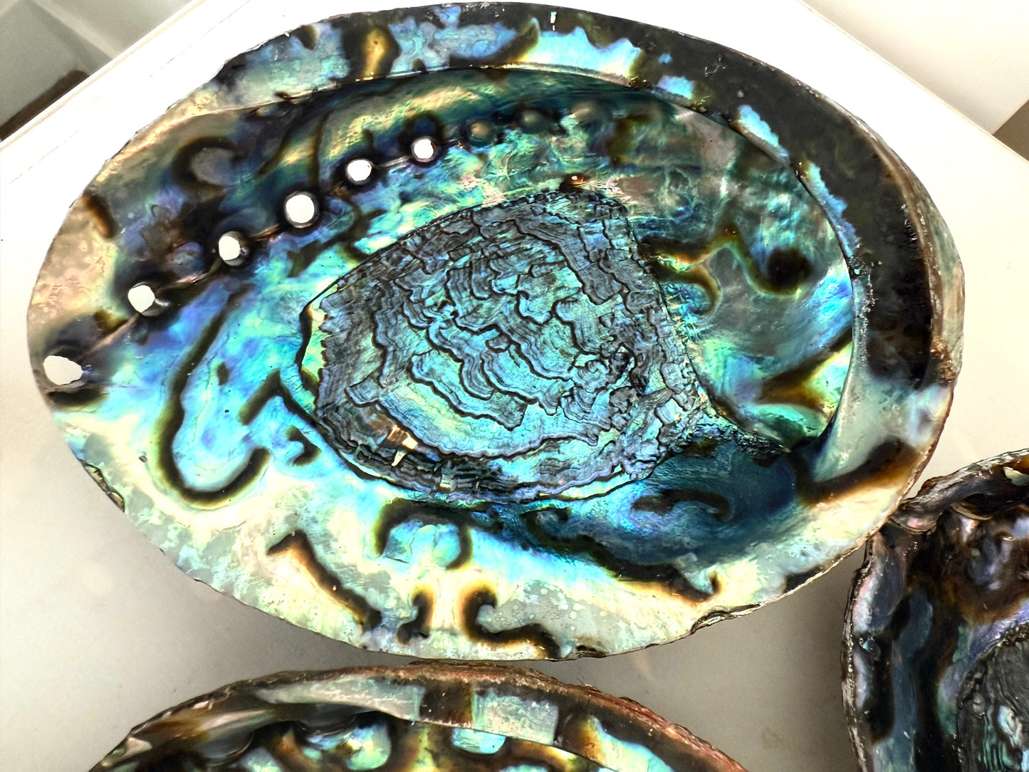 Abalone Shell Ritual Dish - Saging, Smudging