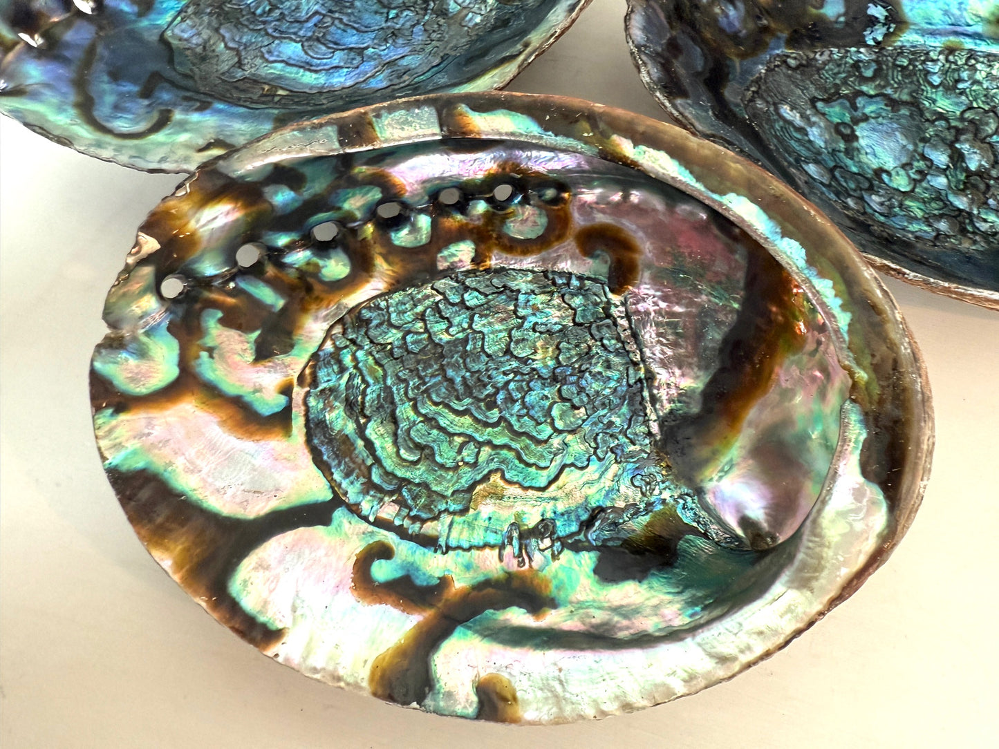 Abalone Shell Ritual Dish - Saging, Smudging