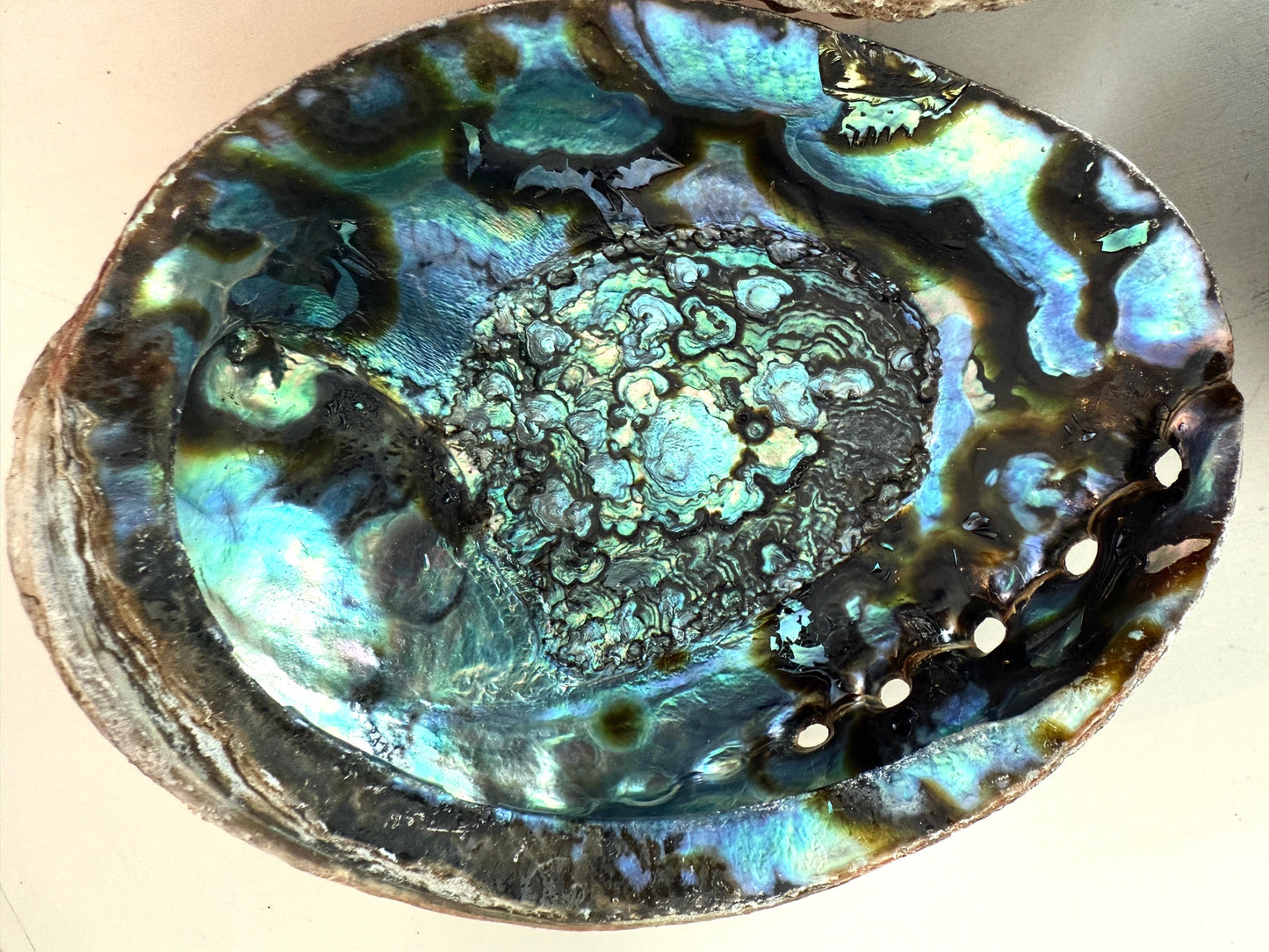 Abalone Shell Ritual Dish - Saging, Smudging
